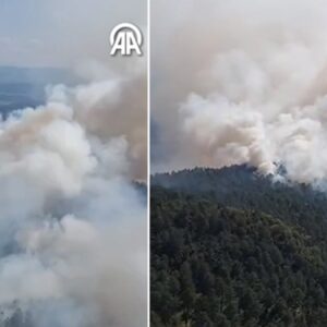 sinoptaki orman yanginina havadan mudahale basladi sslDCHPe