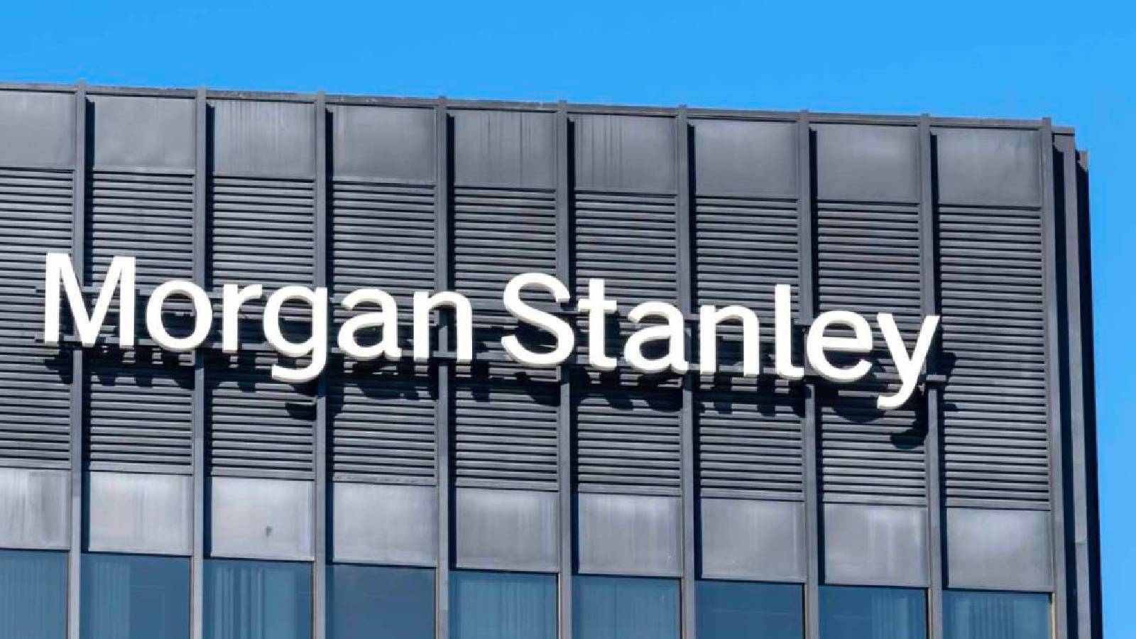 morgan stanleyden turkiye tahmini faiz enflasyon ve asgari ucret ne kadar olacak CLVw2bcR