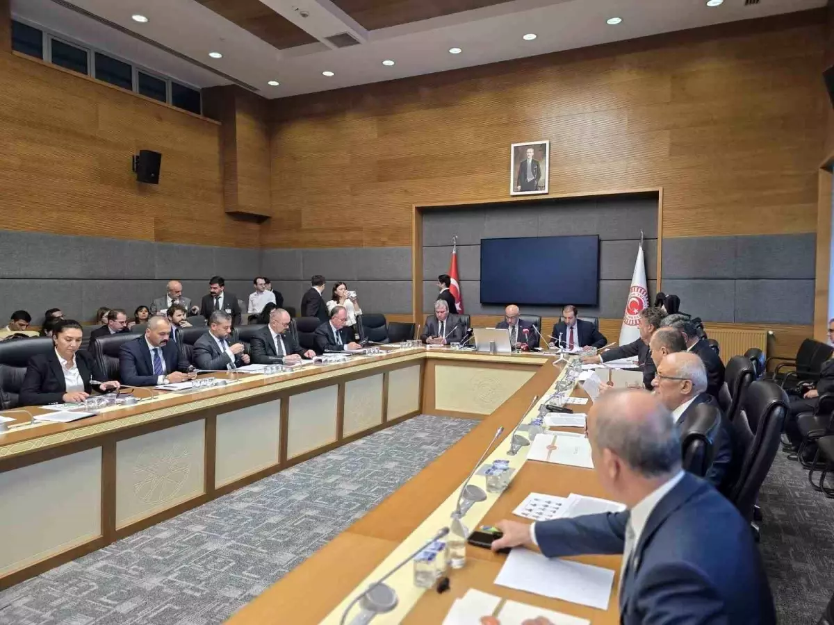 milli parklar kanunu teklifi gorusuldu K6HqcJMy.jpg