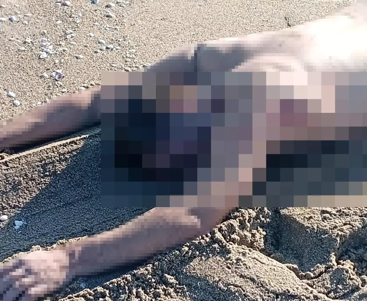 sakaryada ciplak erkek cesedi bulundu Jgei5GfJ