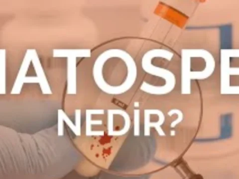 Kanda Sperm Görülmesi: Hematosperm Nedir ve Ne Zaman Endişe Edilmelidir?
